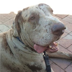 Meet your Posher, Krystle